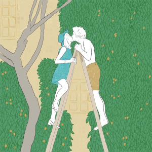 La rodilla de Clara