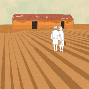 El espíritu de la colmena